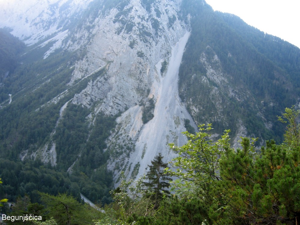 BEGUNJŠČICA