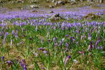 dscn3105