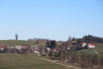 leskovec