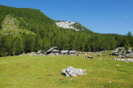 p1140001