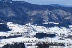 vasi-pod-travno-goro
